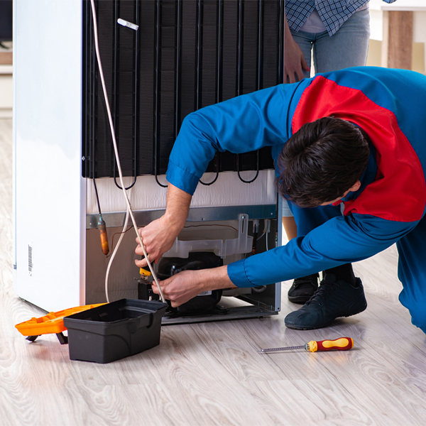 what are the common refrigerator repair services in Carpenter